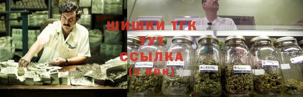 бошки Алзамай