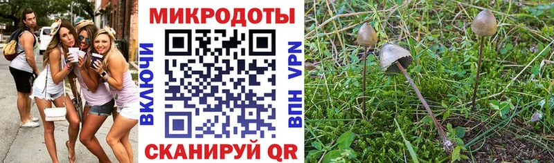 Купить закладки  Оренбург  Псилоцибиновые грибы Magic Shrooms 